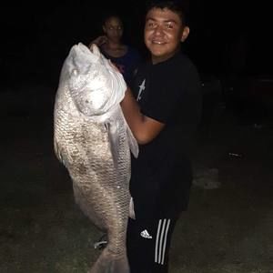 Meet your Posher, Royjr